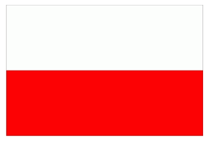 custom flag